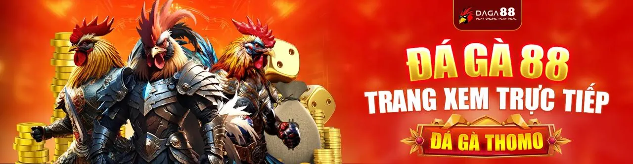 Đá gà trực tuyến K9WIN kịch tính